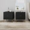 Manhattan Comfort Black 2 -Drawer 20.07-in W x 21.65-in H Modern Nightstand