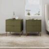 Manhattan Comfort Olive Green 2 -Drawer 20.07-in W x 21.65-in H Modern Nightstand