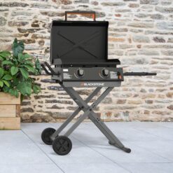 Blackstone 22-in Culinary Omnivore Griddle with Flexfold Legs 361-Sq. in Black Powder Coat Portable Liquid propane Grill