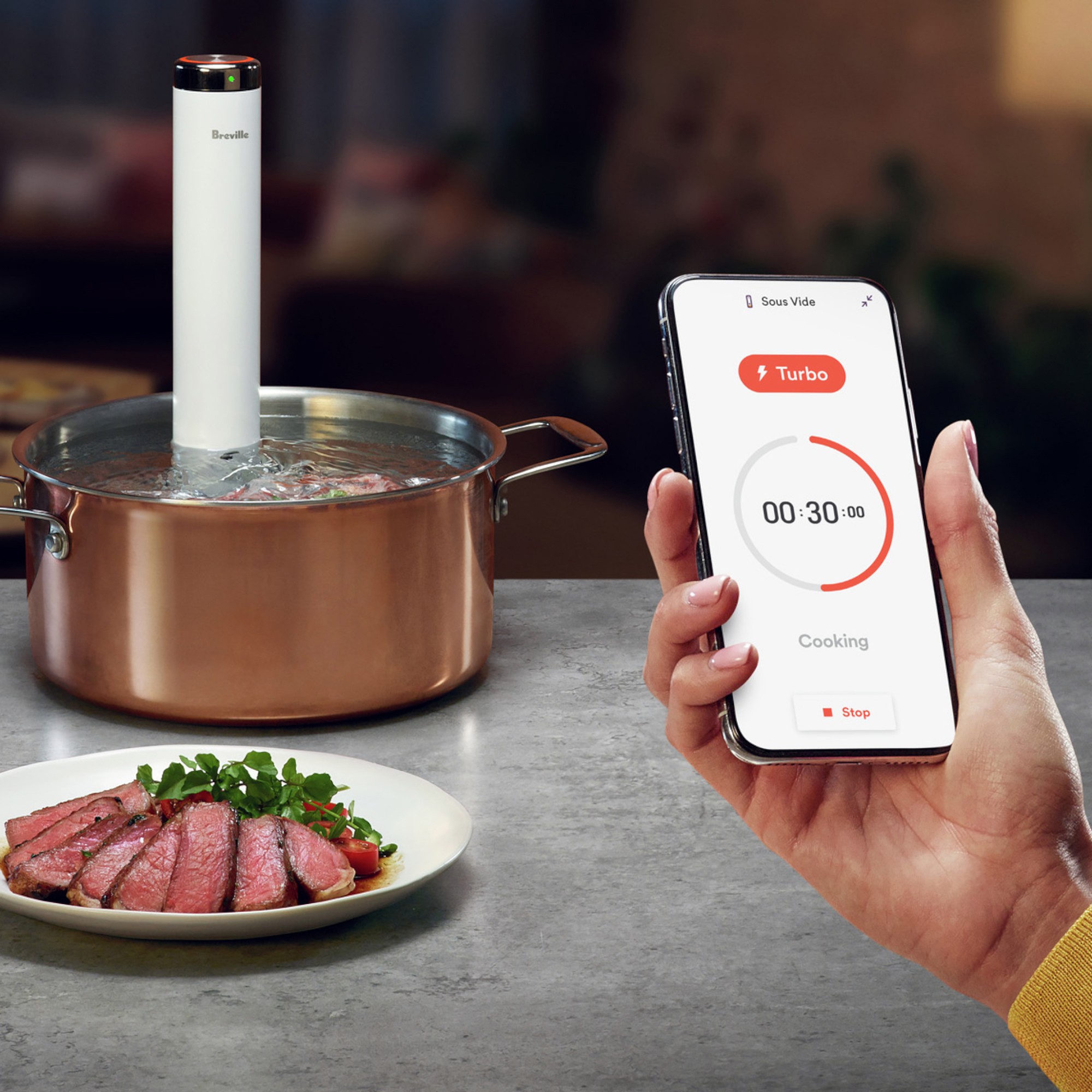 Breville BSV600PSS Joule Turbo Sous Vide Machine, Polished Stainless Steel - Image 3