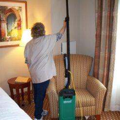 Bissell Commercial Big green commercial heavy duty Upright Vacuum Cleaner