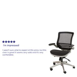Flash Furniture Warfield Black Mesh/Graphite Silver Frame Contemporary Ergonomic Adjustable Height Swivel Mesh Executive Chair
