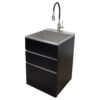 Transolid 21.8-in x 22.4-in 1 -Basin Matte Black Freestanding Laundry sink with Cabinet with Faucet