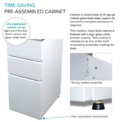 Transolid 15.5-in x 22.4-in 1 -Basin Gloss White Freestanding Laundry sink with Cabinet with Faucet