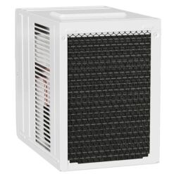 DURASTAR Medium Room Window Air Conditioner , Remote Included ( 115-Volt , 10000-BTU )