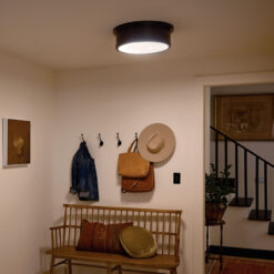 Kichler Serca 18-in Black Indoor 3 -Light Flush Mount Light with Etched Glass