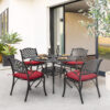 Nuu Garden 9 -Piece Black and gold-painted Patio Dining Set Aluminum Round Table with 4 Red Cushions Stationary Chairs