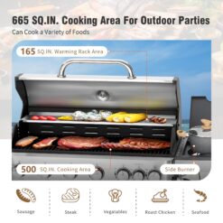 Sunshine Valley Black and Silver 6 -Burner Liquid Propane Gas Grill 1 -Side Burner