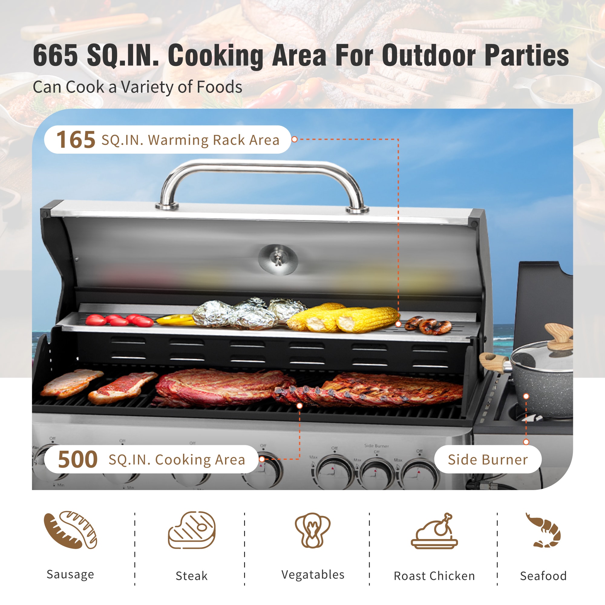 Sunshine Valley Black and Silver 6 -Burner Liquid Propane Gas Grill 1 -Side Burner