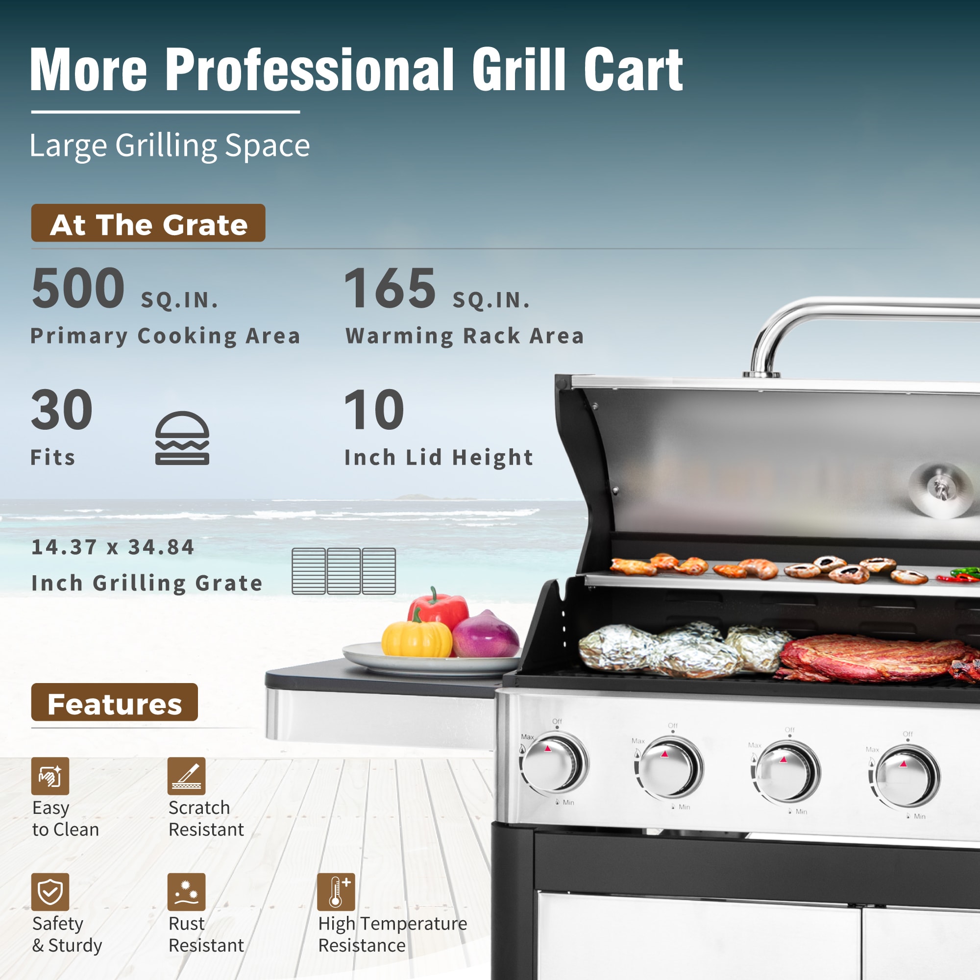 Sunshine Valley Black and Silver 6 -Burner Liquid Propane Gas Grill 1 -Side Burner