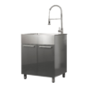 Presenza 28-in x 22 1 -Basin Gray Drop-in Laundry sink with Cabinet with Drain with Faucet
