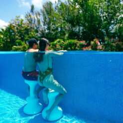 Dunn-Rite Products Made in USA Submersible Swim Up Pool Stools for Underwater Use, Bar Stool for Inside Pool and Patio Deck Seating, 30 Inch (1 Stool)