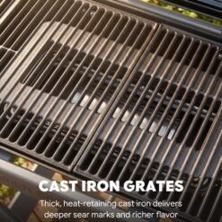 Feasto 360-Sq. in Black Portable Liquid propane Grill