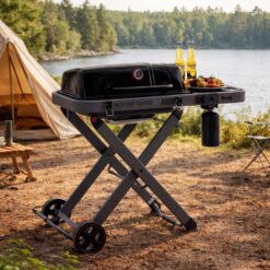 Feasto 360-Sq. in Black Portable Liquid propane Grill