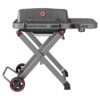 Feasto 360-Sq. in Gray Portable Liquid propane Grill