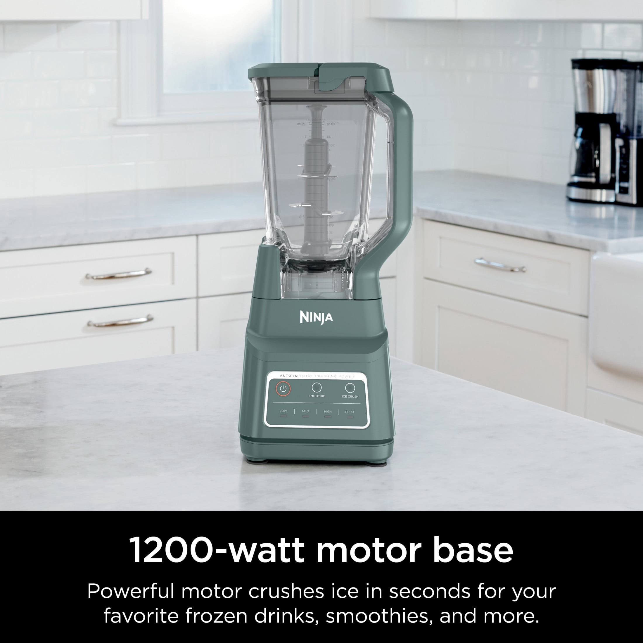 Ninja Professional Plus Blender, Smoothies, Ice Crush with 2 Auto-iQ Preset Programs, 1200W, 72 Oz, BN700 Sage