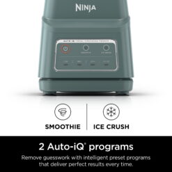 Ninja Professional Plus Blender, Smoothies, Ice Crush with 2 Auto-iQ Preset Programs, 1200W, 72 Oz, BN700 Sage